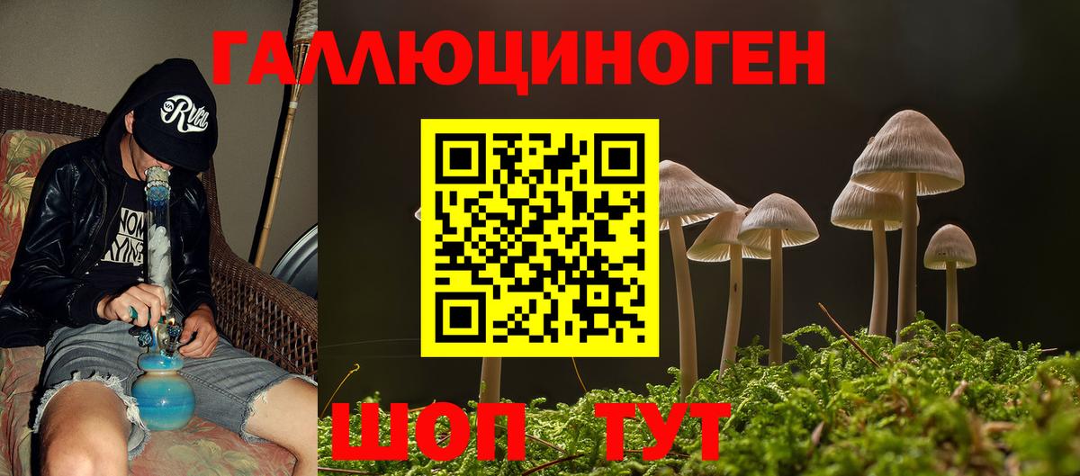Галлюциногенные грибы GOLDEN TEACHER Ливны