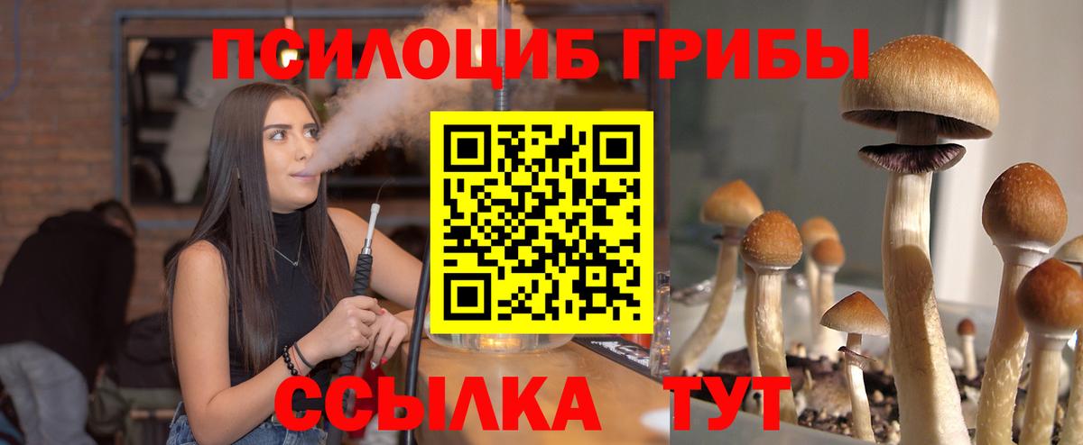 Галлюциногенные грибы мицелий  Вход с VPN  Псилоцибиновые грибы MAGIC MUSHROOMS  где купить   Ливны 